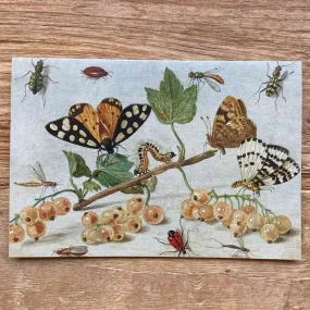 Insects and Fruit - Greeting Card