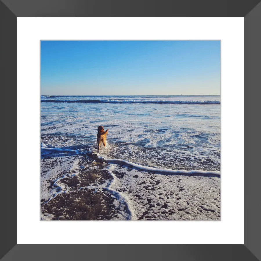 Tail of the Sea Glossy Print