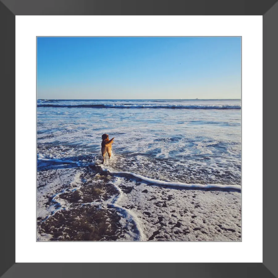 Tail of the Sea Glossy Print