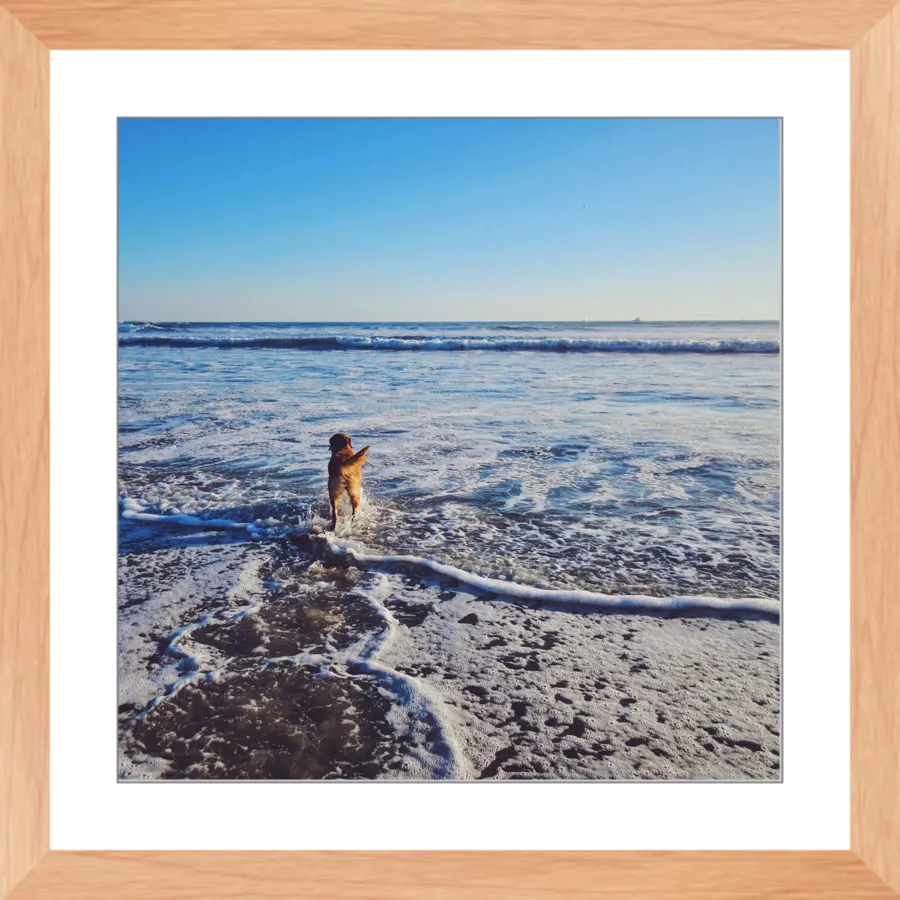 Tail of the Sea Glossy Print