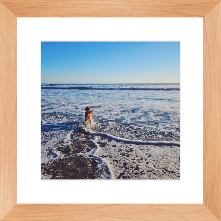 Tail of the Sea Glossy Print