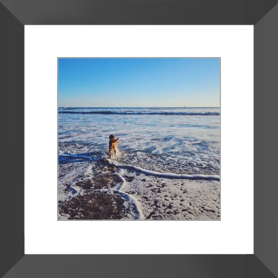 Tail of the Sea Glossy Print