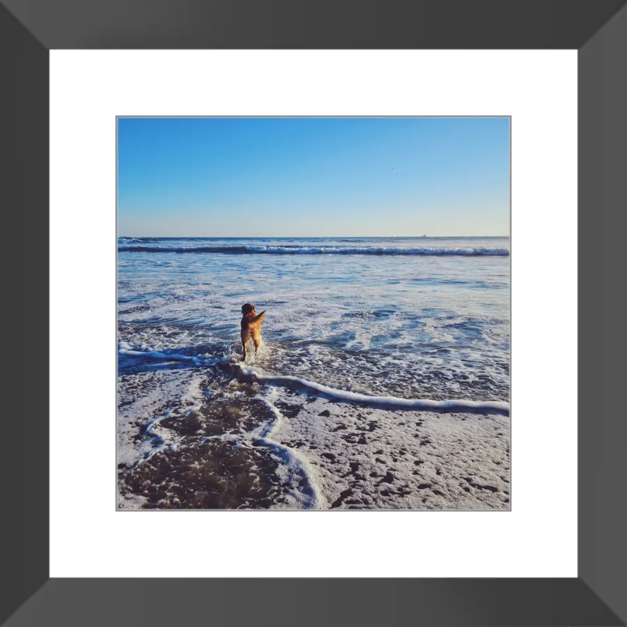 Tail of the Sea Glossy Print