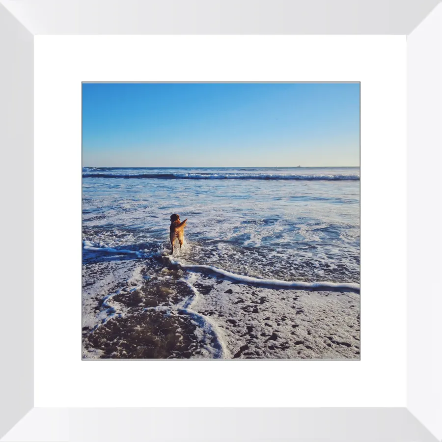 Tail of the Sea Glossy Print