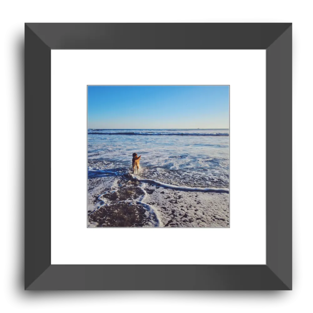 Tail of the Sea Glossy Print