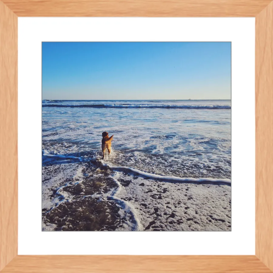 Tail of the Sea Glossy Print