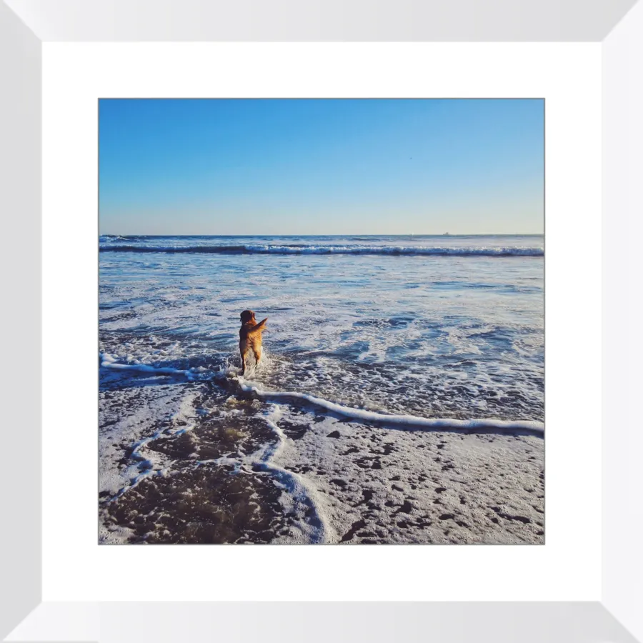 Tail of the Sea Glossy Print