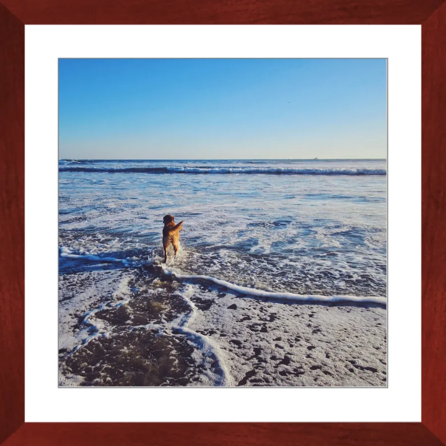 Tail of the Sea Glossy Print